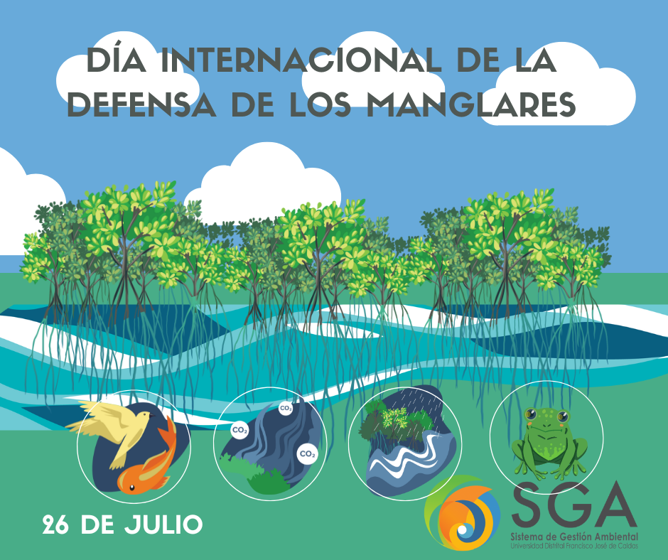 26 DE JULIO DÍA INTERNACIONAL DE LA DEFENSA DE LOS MANGLARES